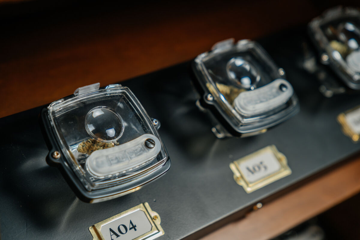 Premium cannabis flower in an examination case at Camden Apothecary in Camden, NJ